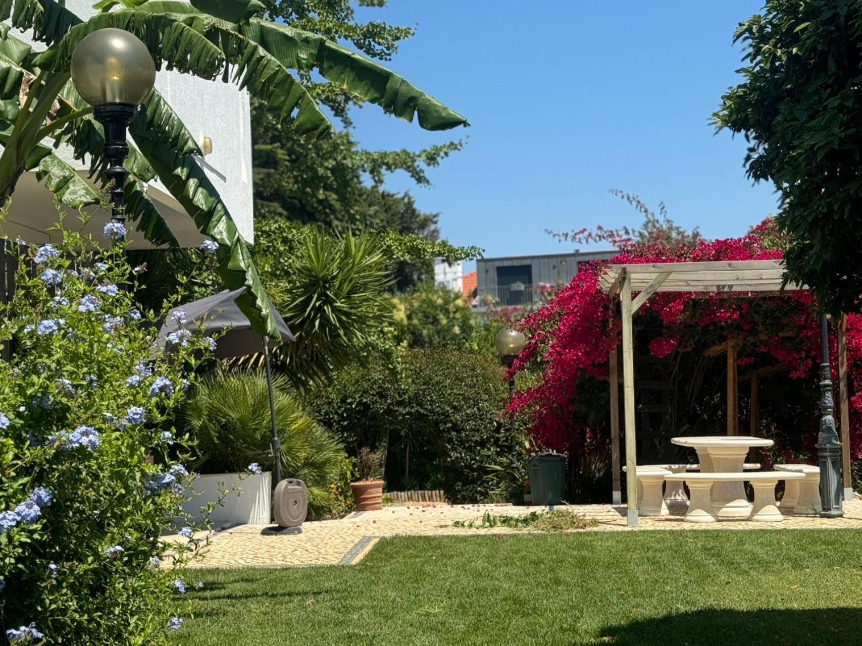 Aomo Art Space Hostel أويراس المظهر الخارجي الصورة